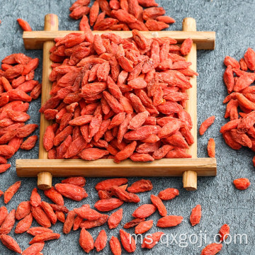 Organik lycium wolfberry goji berry untuk kesihatan